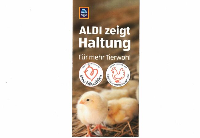 Der Titel von einem Aldi-Flyer zeigt die Aufschrift "ohne Kükentöten" und ein Bild von zwei Küken